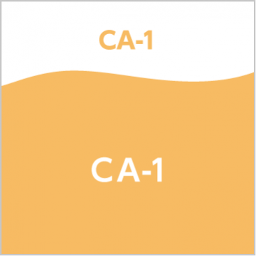 CA-1